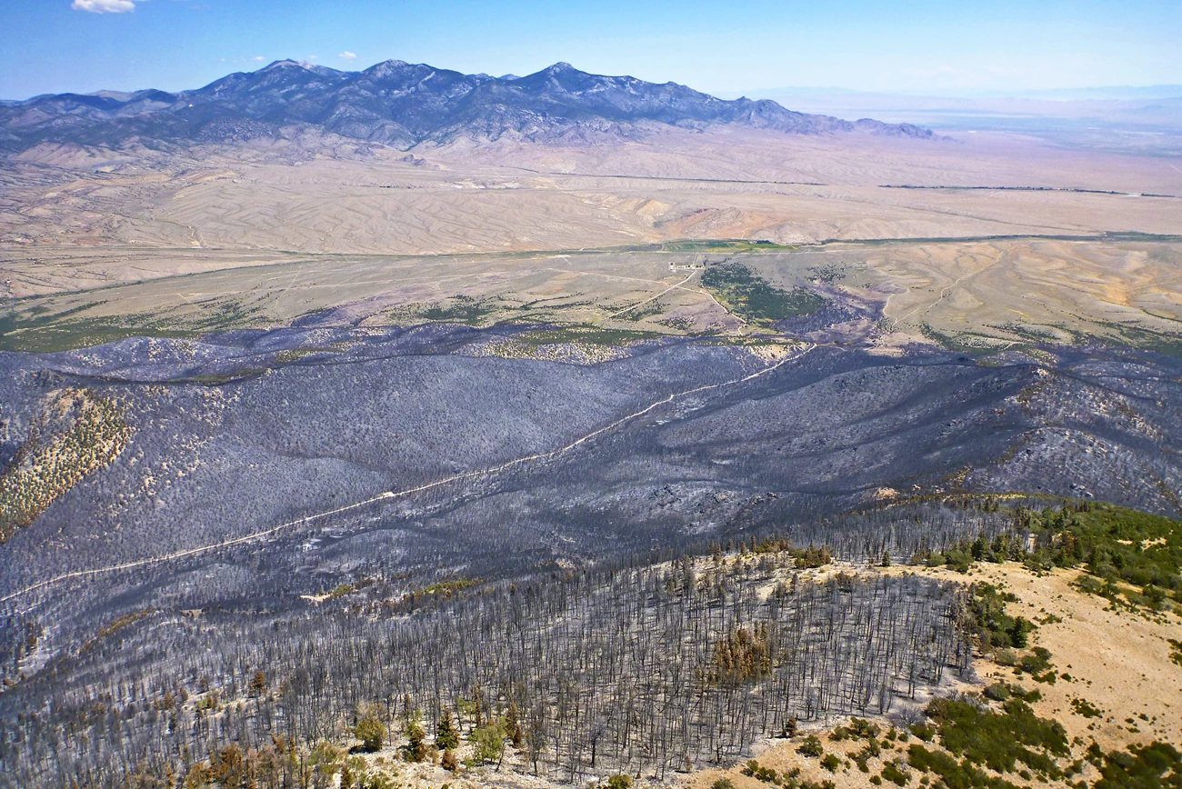 Lower Strawberry Creek Aerial view of a whole higher-elevation forested valley charred with just a few small patches of green remaining. The landscape beyond is a lower, desert-like valley devoid of trees.