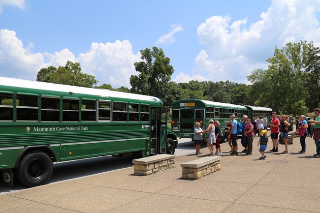 Groups of people line up to get on two green buses.