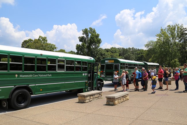 Bus Transportation to Cave Tour Groups of people line up to get on two green buses.