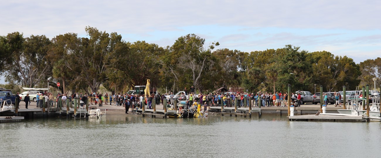 A crowd of people gather to watch a dead whale towed by boat into a marina.