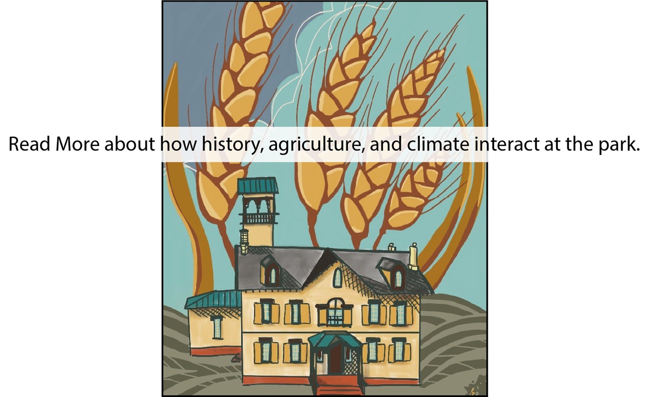 Click to read more! Illustration of the Lindenwald house and agriculture surrounding it.