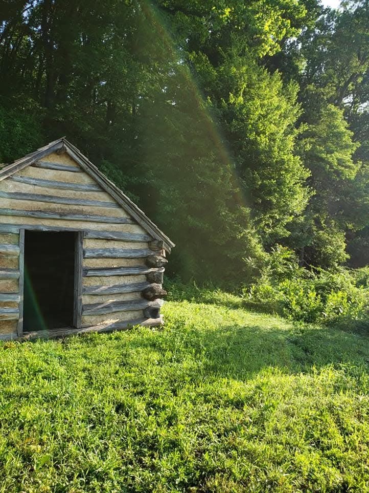 A wooden hut in a grassy area surrounded by trees.