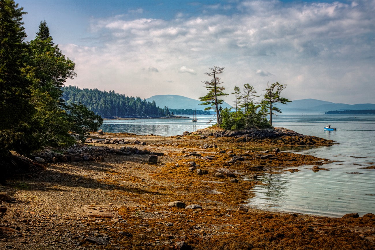 Landscape photo of shoreline at low tide with a small island thick with trees in middle distance, a lobster boat steaming across an inlet, and a mountain range in the distance Landscape photo of shoreline at low tide with a small island thick with trees in middle distance, a lobster boat steaming across an inlet, and a mountain range in the distance