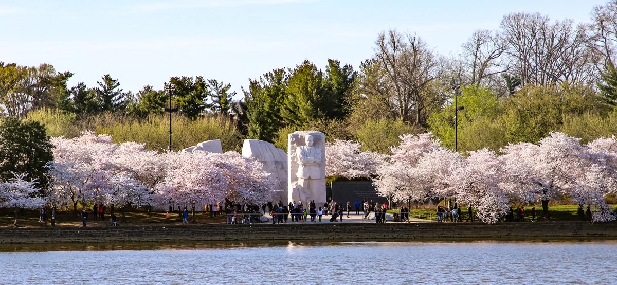 MLK-Memorial-NPS-Photo-Victoria-Stauffenberg Crowds visiting a statue of Martin Luther King Jr. near a tidal basin