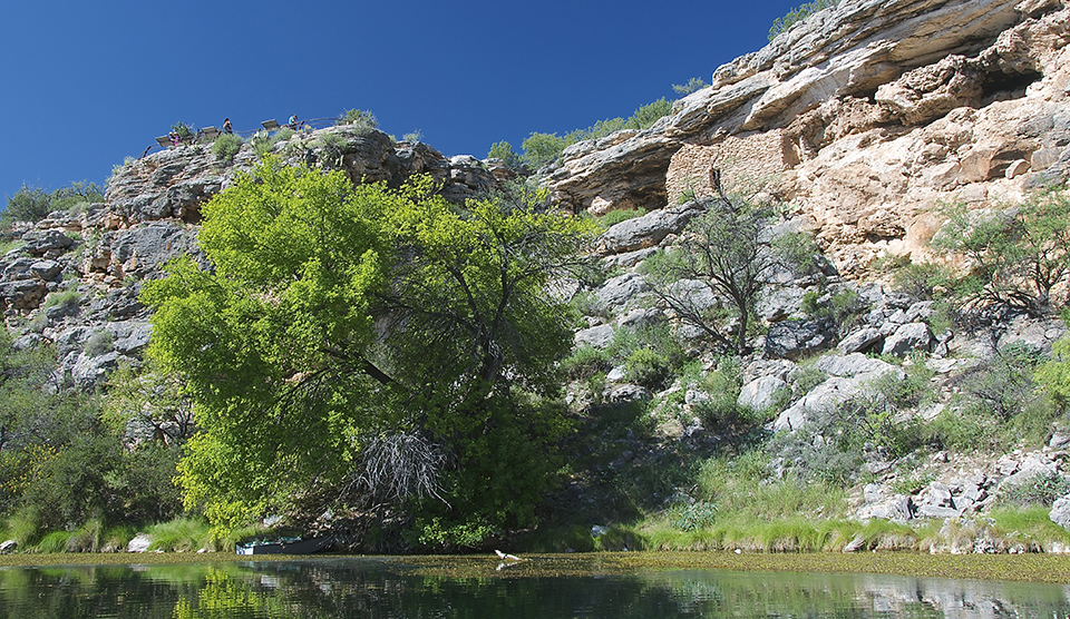 A rocky cliff with stone buildings under rock overhangs on the edge of a large pool of water lined by green plants, shrubs and a tall, bright green tree.