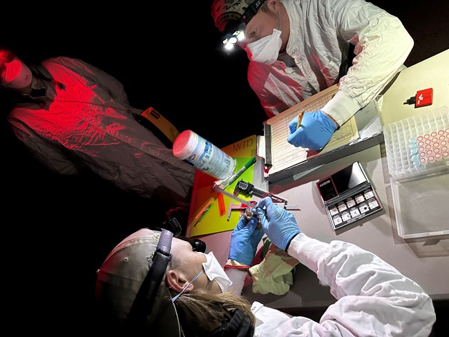 Three scientists recording and taking measurements.