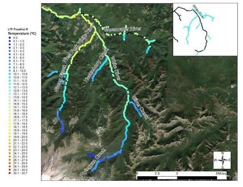 Stream temperatures in the White River. A map of the White River with the upper tributaries shaded blue fading to green-yellow moving downstream.