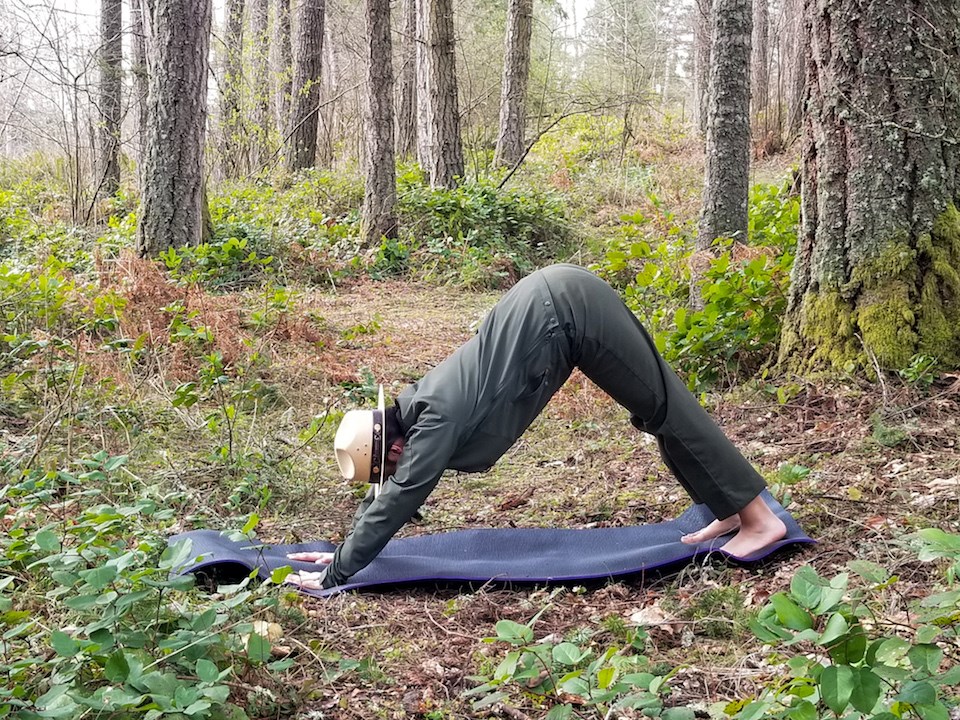 Mount Rainier Yoga: Sleepy Fox Pose A ranger in a yoga pose bent over with hands on the mat and legs straight in an upside down V-shape.