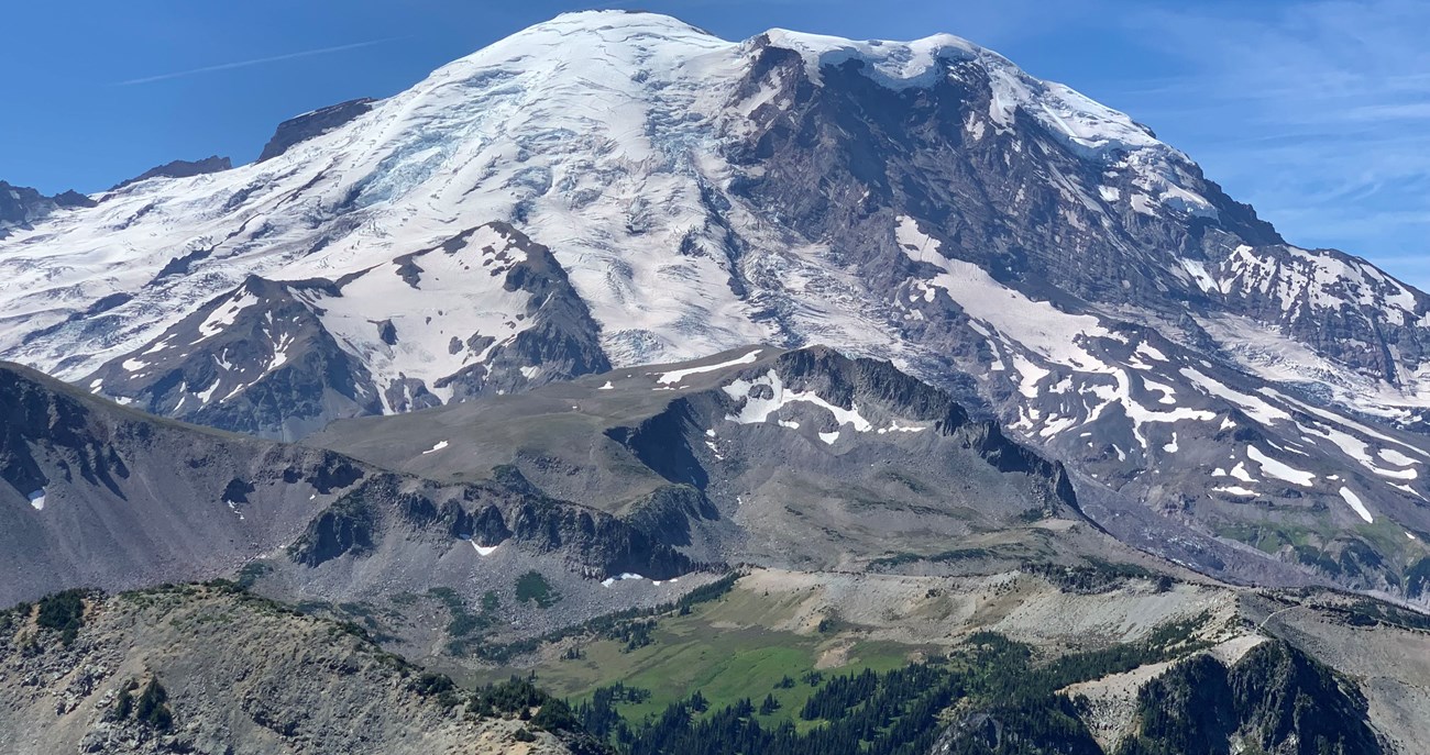 Mount Rainier A glaciated mountain peak rises above a meadow.