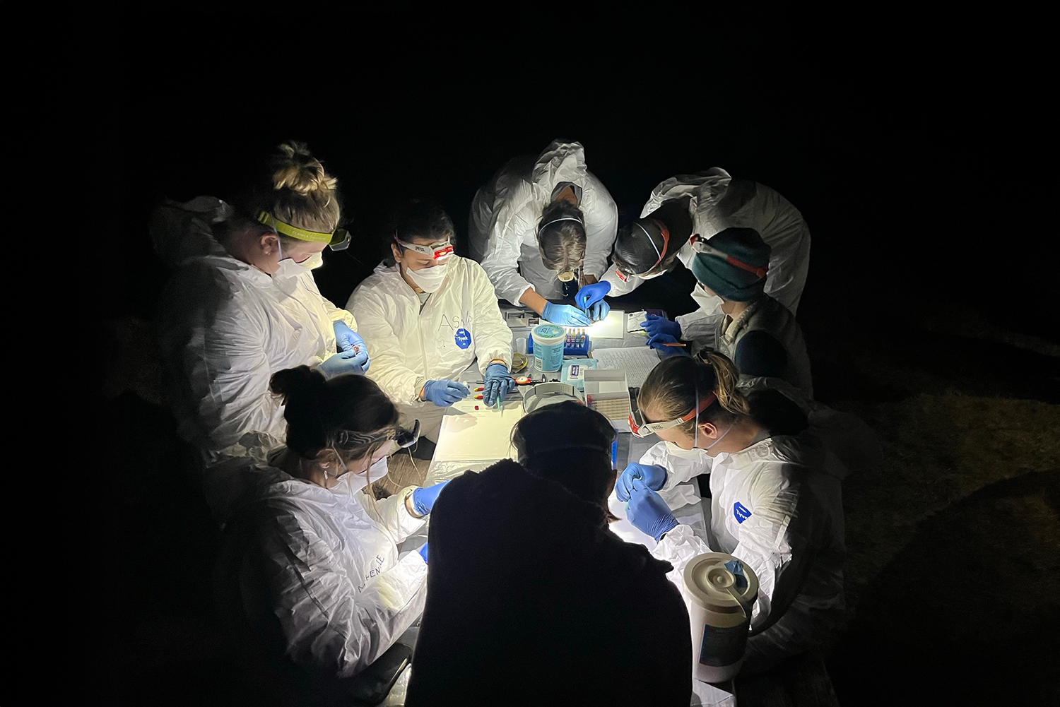 Eight people in Tyvek suits, N-95 masks, gloves, and headlamps gather around a table covered in science equipment and datasheets. Several are holding tiny brown bats.