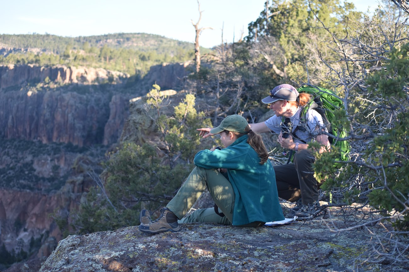 Two scientists scan the forest from the canyon rim.