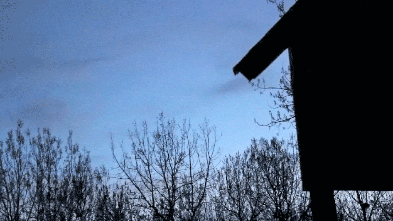 Animated GIF of dozens of bats emerging from the silhouette of a wood structure on stilts at dusk.