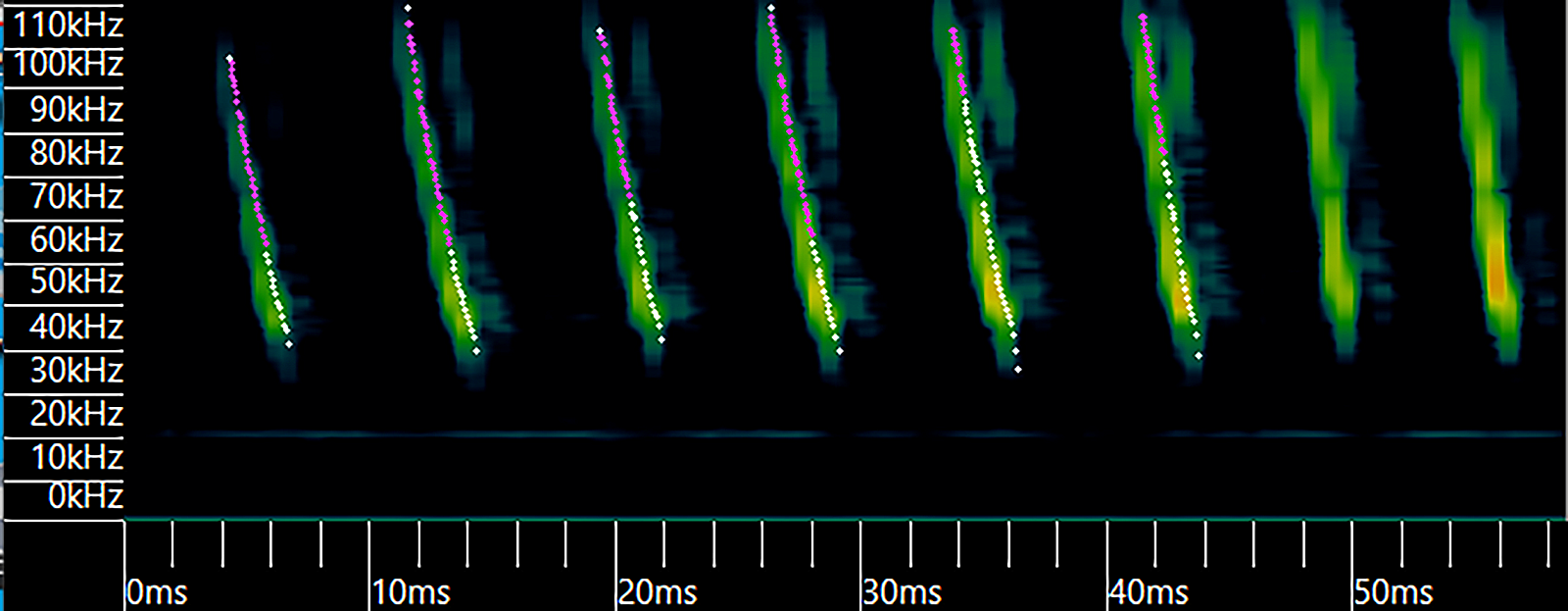 Graph of eight rapidly descending notes, in kilohertz, over about 60 milliseconds.