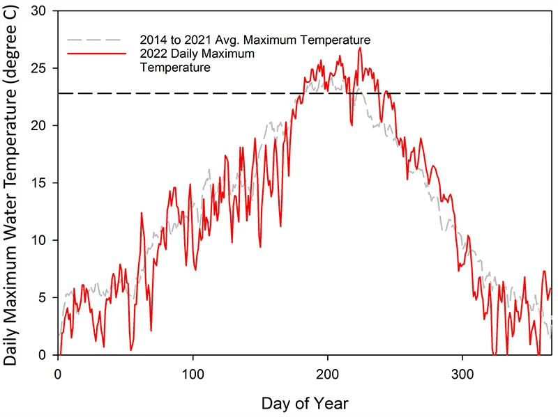Maximum water temperature graph Line graph of daily maximum water temperatures in 2022 and the 2014–2021 average. Temperatures were in the range to trigger angling closures on more days than average.