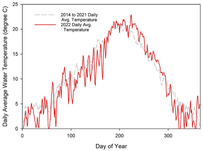 Line graph of daily average water temperature from 2014 to 2021 and in 2022. Temperatures were warmer earlier than average and warmer than the long-term averages.