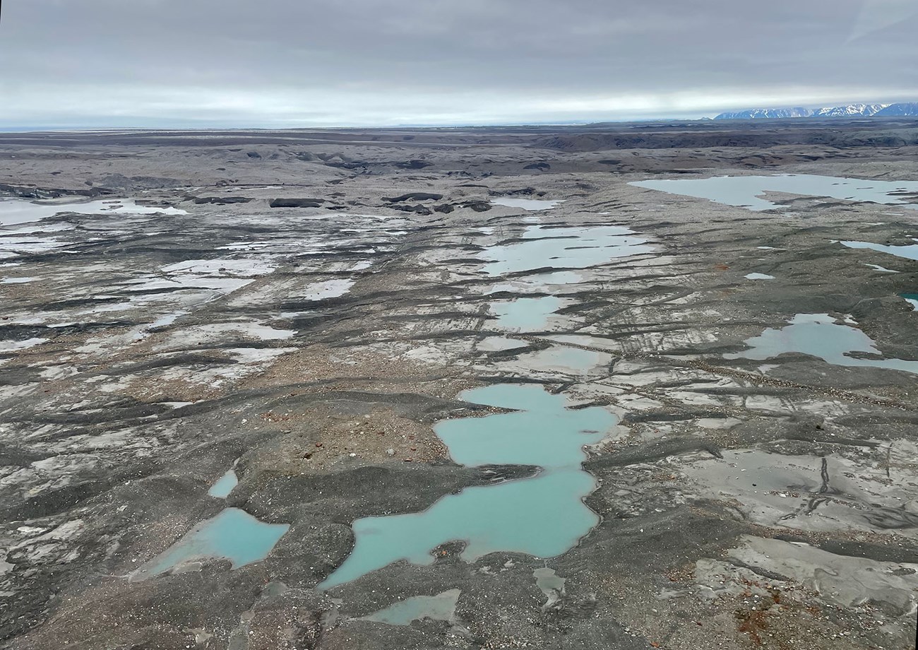 Malaspinalake_flutes_straightened_web The debris-covered surface of a glacier with small pools of water.