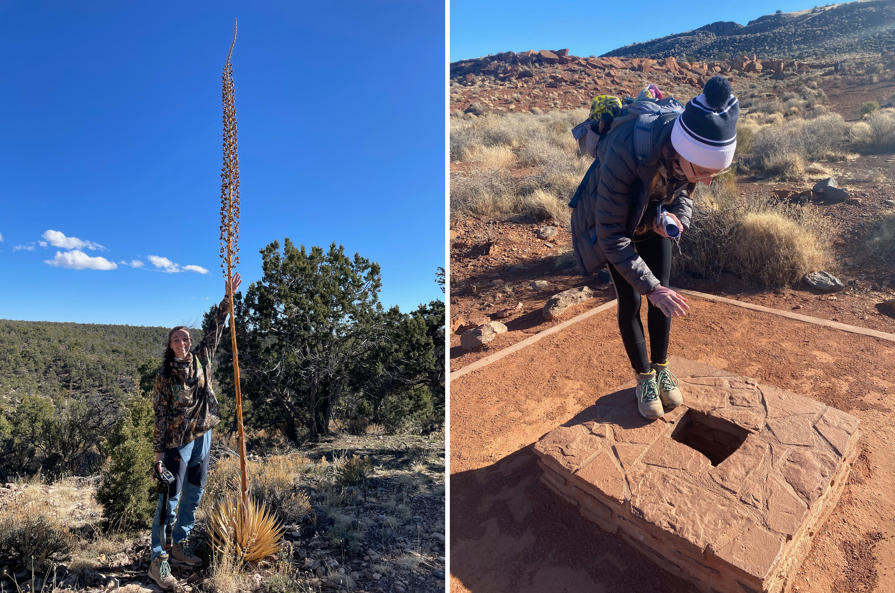 Woman standing next to a tall skinny tree and looking down a hole in the ground