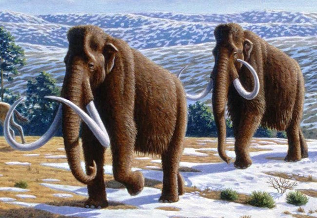 Two mammoths walk across a snow-dusted landscape.