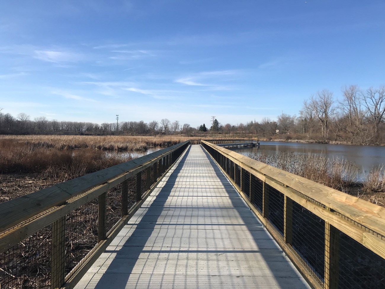 Boardwalk over a marsh area