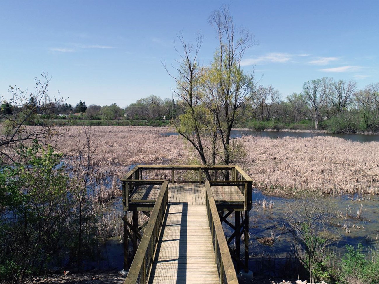 A wooden boardwalk that connects to a viewing platform overlooking a marsh