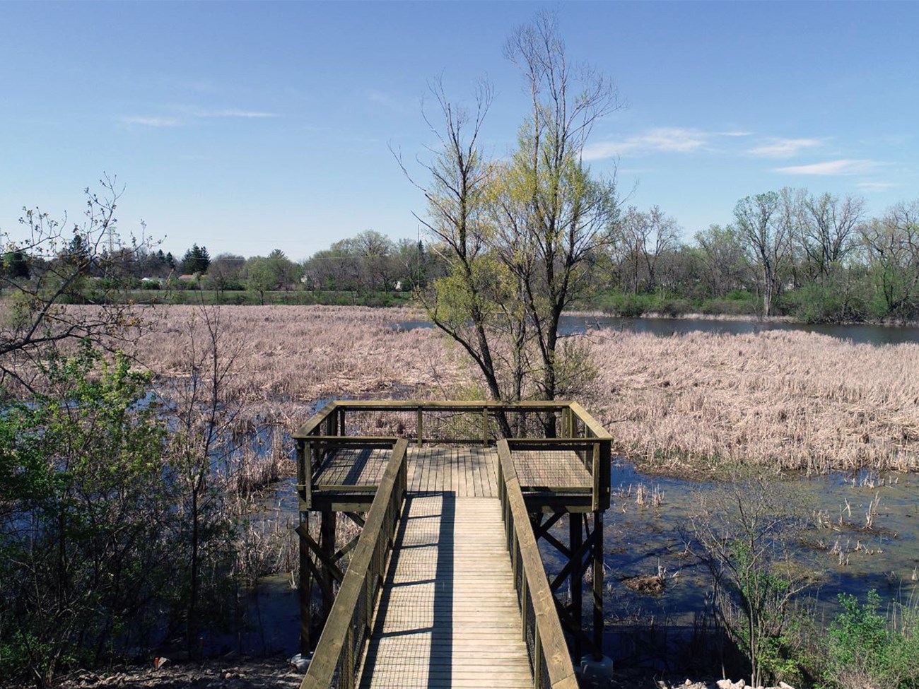 Manhattan-Marsh-Park A wooden boardwalk that connects to a viewing platform overlooking a marsh