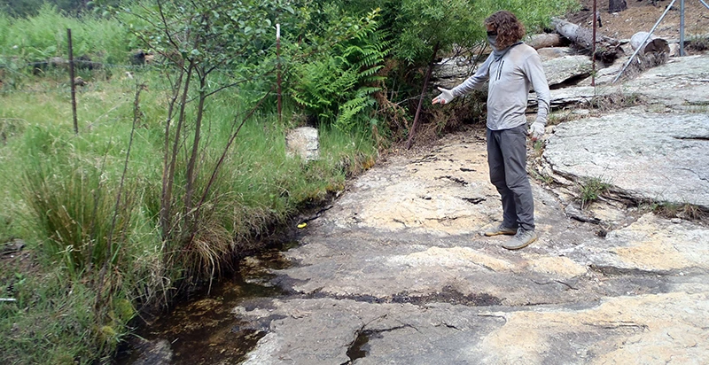 Manning Spring A person pointing at a narrow trickle of water on a bedrock base adjacent to dense grasses and saplings.