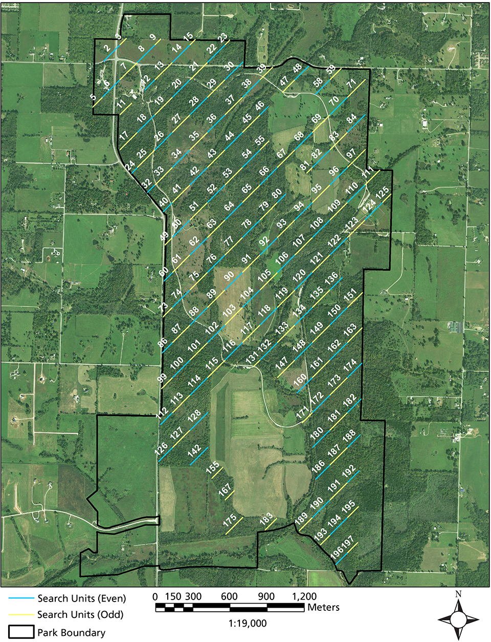 Problematic plant monitoring transects Map of 157 transect lines distributed at equal intervals across the park