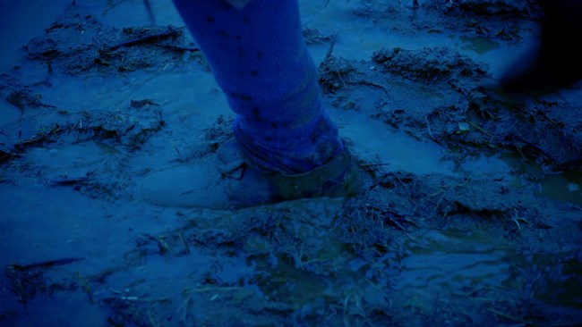 photograph, outdoors, walking, shoes, mud