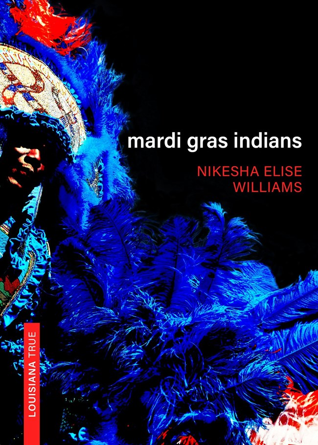 Mardi Gras Indians Cover Mardi Gras Indians Cover