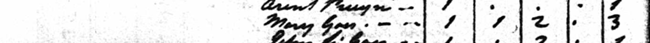 Maria Goes, Hannahs mother 1790 census with 3 enslaved people The 1790 Census for Kinderhook lists the household of Maria (Mary) Goes and three people who were enslaved by the family.