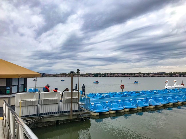 Line of paddleboats docked at a boat launch