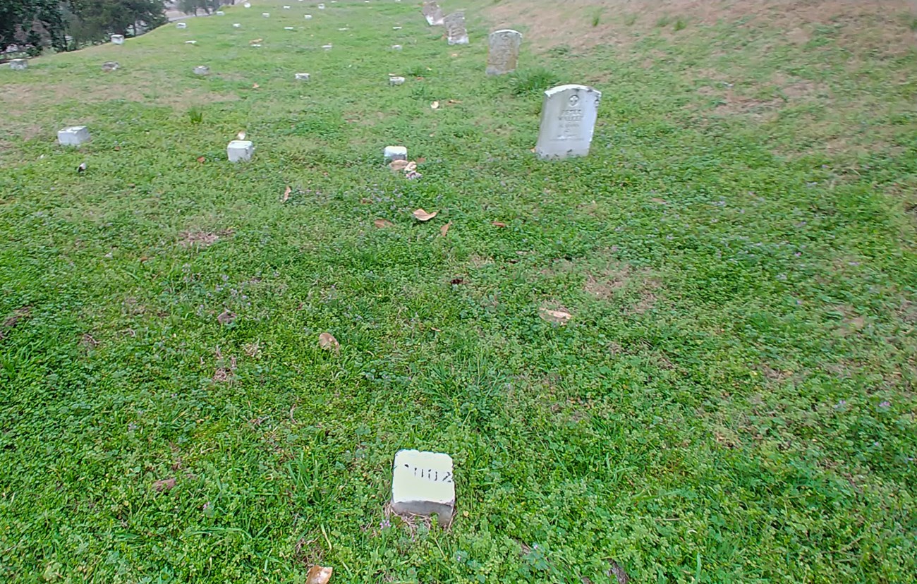 Grave T 9002, likely the final resting place of Sylvester Lanning's servant. Grassy cemetery scene with scattered small headstones, creating a serene, reflective atmosphere. A gentle slope and distant trees enhance tranquility.