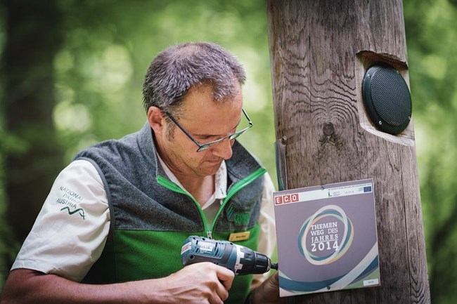 man using a drilling tool to drill a sign onto a tree