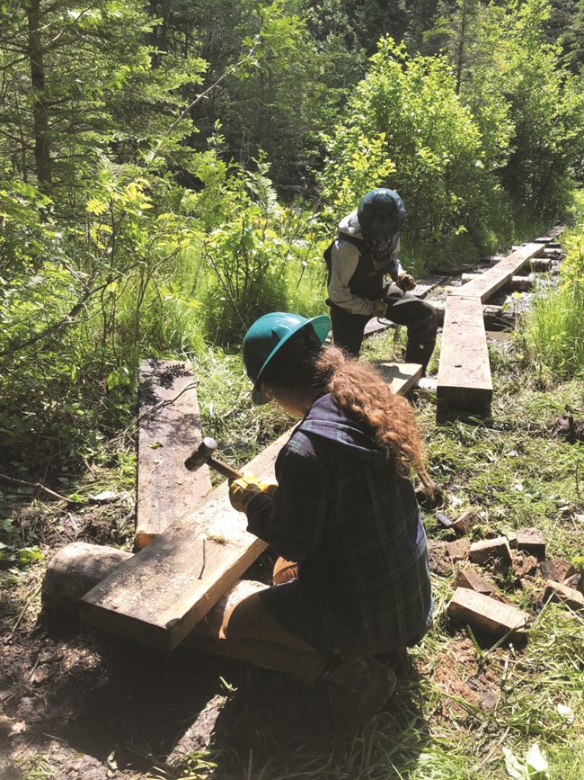 WisCorps members repairing a boardwalk on Isle Royale.