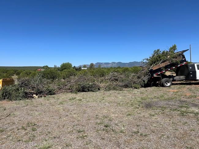 Material removed from site to be chipped A dump-bed truck filled with brush adds brush cleared from archeological sites in Salinas Pueblo Missions National Monument to a long line of cut brush to be chipped.