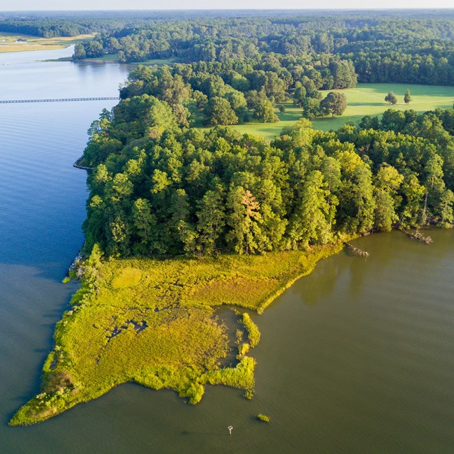 Aerial view of a penninsula of land with marsh, forest, and river.