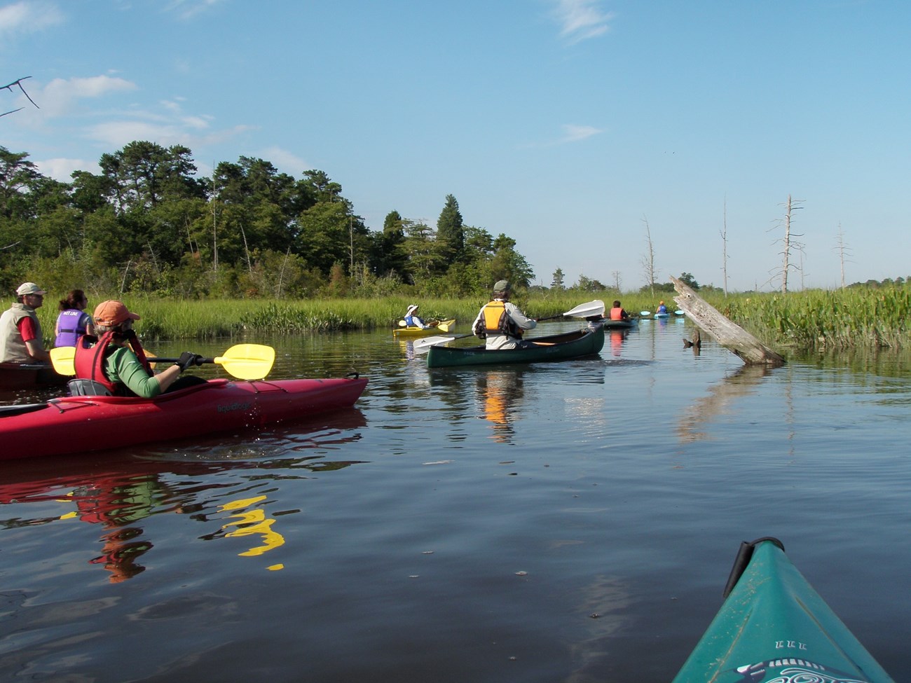 The Muskee River is a main tributary and designated waterway of the Maurice River. Photo courtesy of Jane Galetto.