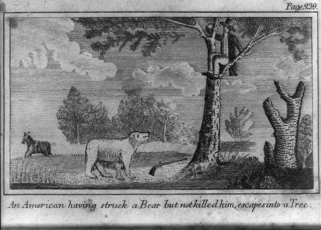 line drawing of man in tree