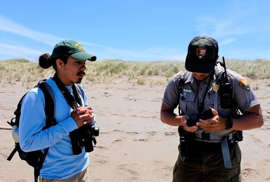 Matt Lau training a NPS intern on snowy plover monitoring protocols