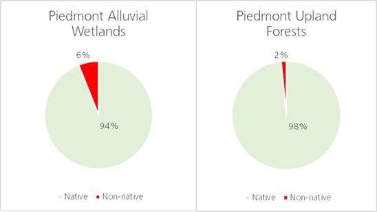 Mean occurrence of native vs non-native at HOBE two pie charts showing mean occurrence
