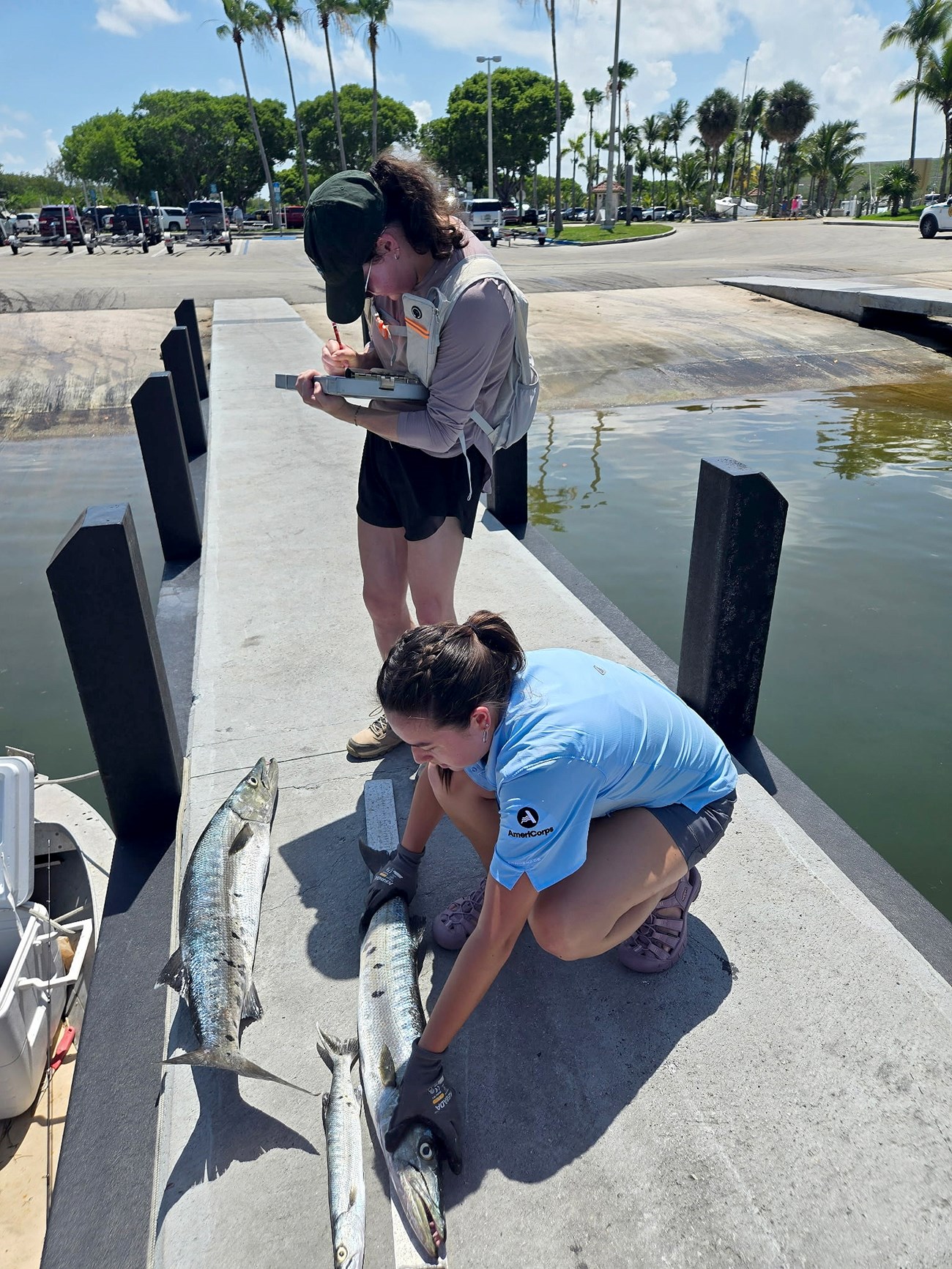 One woman kneels on the ground with a long fish on top of a ruler while another woman writes on a pad. They're standing on a dock in front of a tropical shoreline