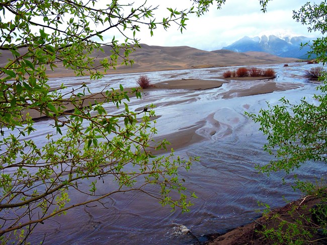 Wide, shallow creek flows across sand dunes with some vegetation on the side and in the middle of the creek.