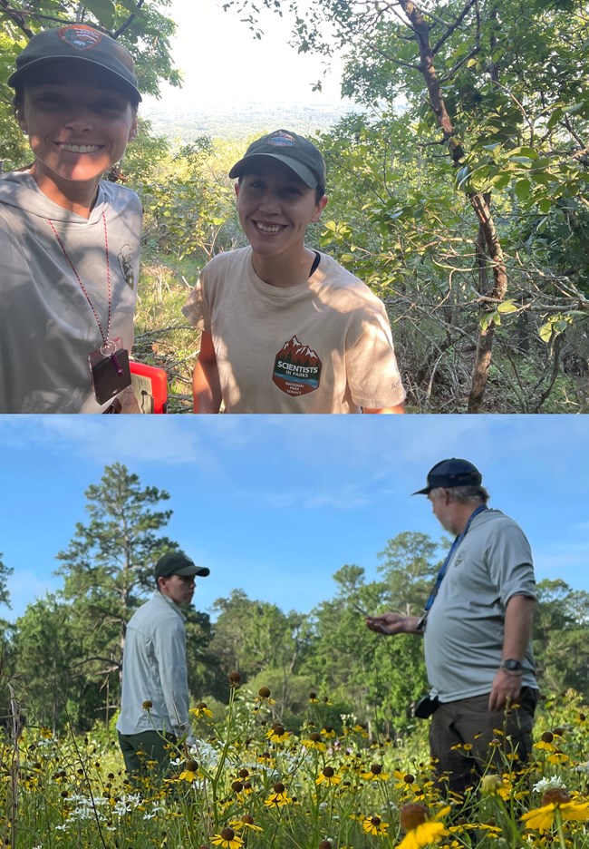 two women smiling with mountain view in background and a man and woman talking in a sea of flowers
