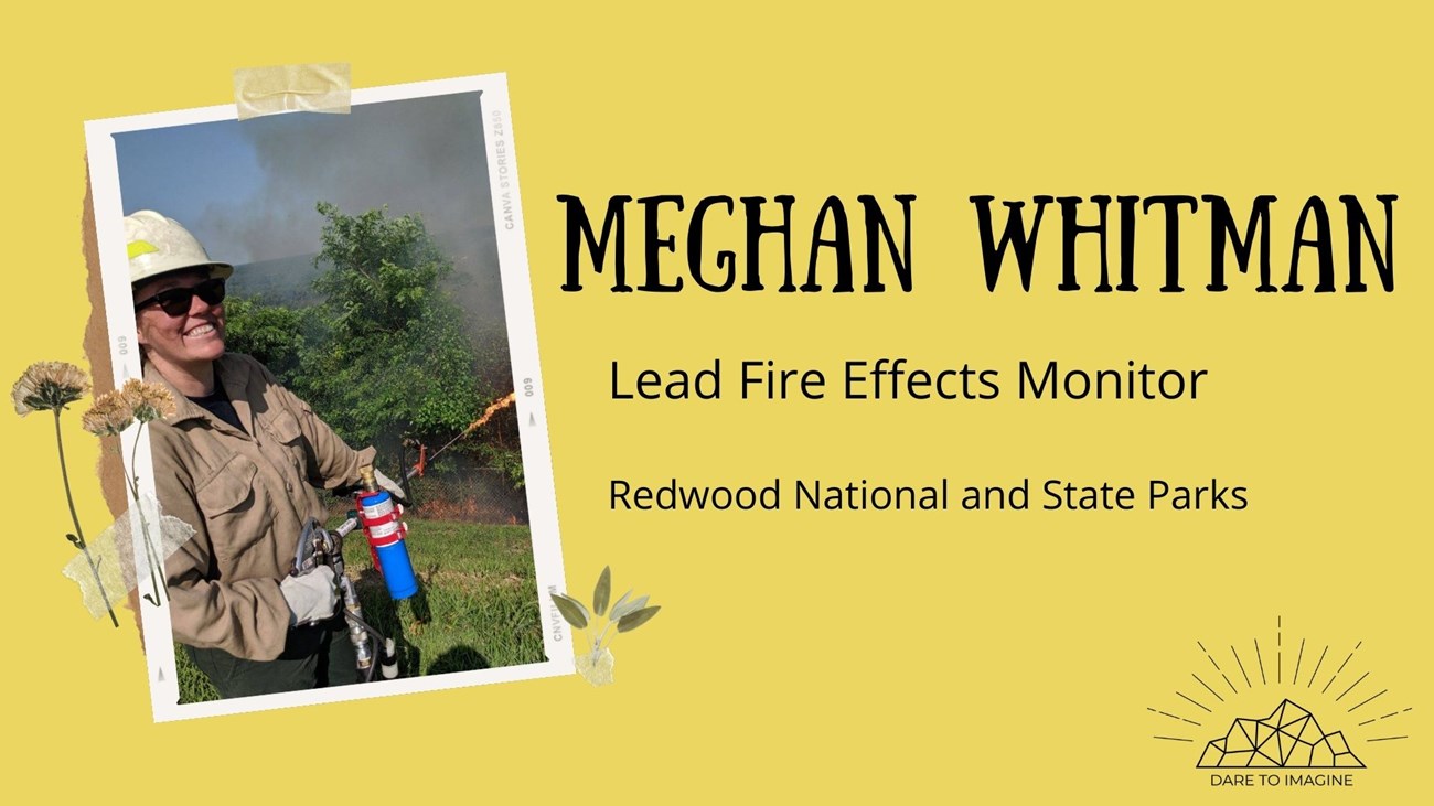 Meghan Whitman graphic of a woman in a helmet and fire clothing text reads Meghan Whitman Lead Fire effects monitor