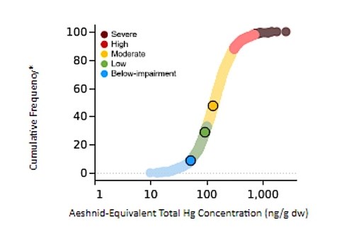 Distribution of mercury (Hg) concentrations measured in dragonfly larvae. A graph of cumulative frequency vs Aeshnid-Equivalent Total Hg concentration with a curved line shifting from blue on the low end to dark red on the high end. Three circles mark points along the line, one blue, one green, and one yellow.