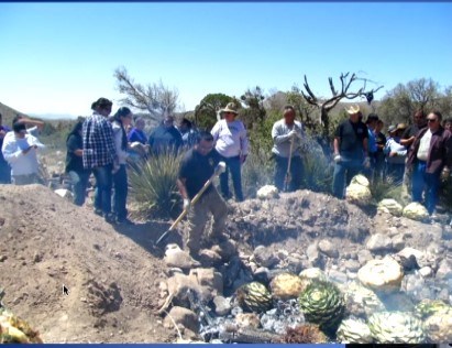 Mescalero Apache members gather around a pit to roast harvested agave.