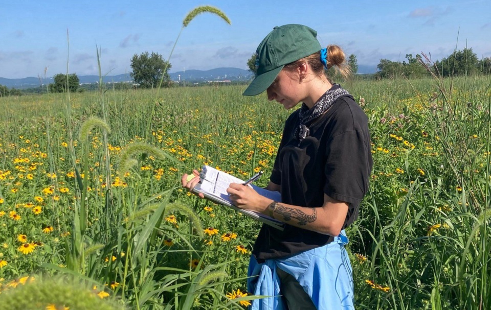 A young woman takes notes while standing in a field of yellow flowers