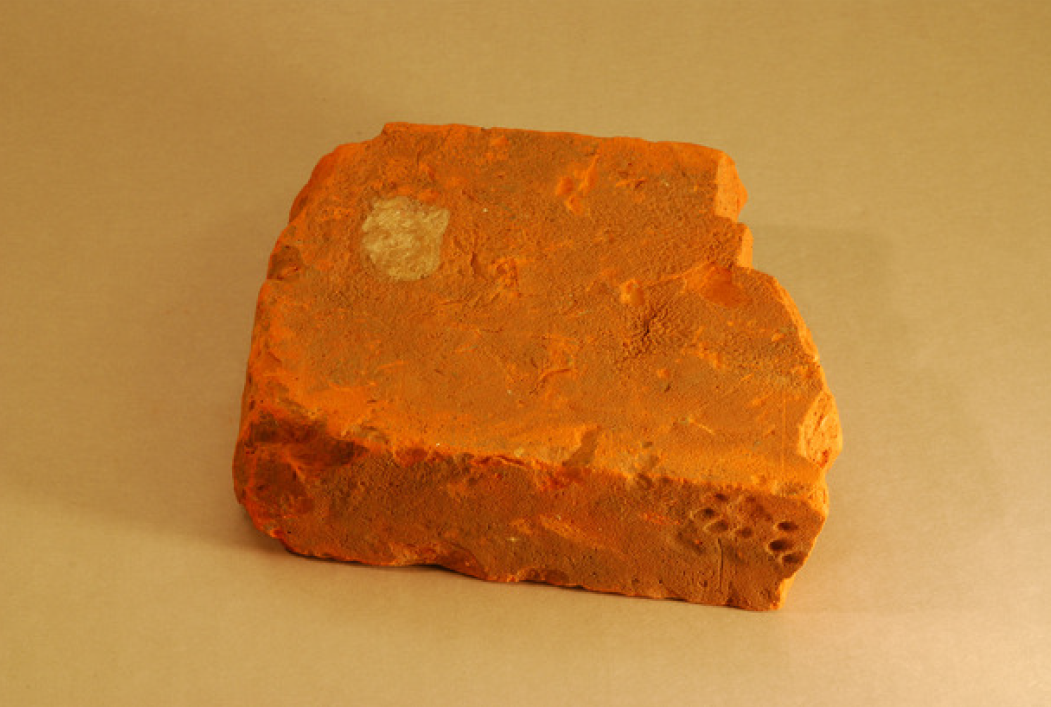 Brick with Cat Pawprints Brick with Cat Pawprints