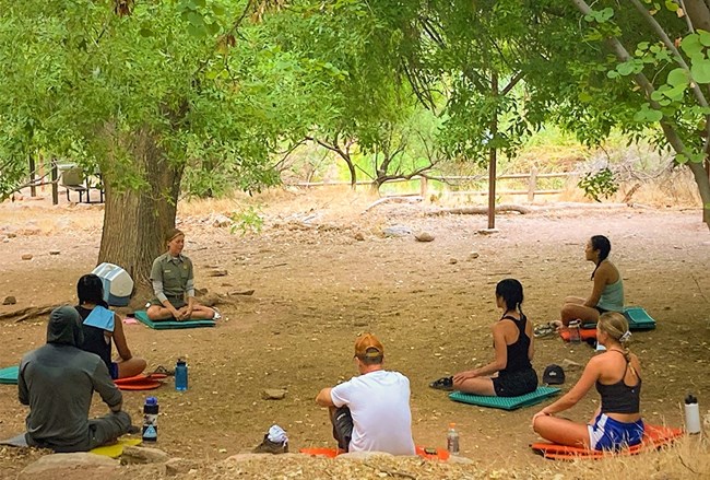 A park ranger leads a group of visitors in a seated mindfulness practice amidst some trees in the inner canyon. NPS Photo/K. Pitts