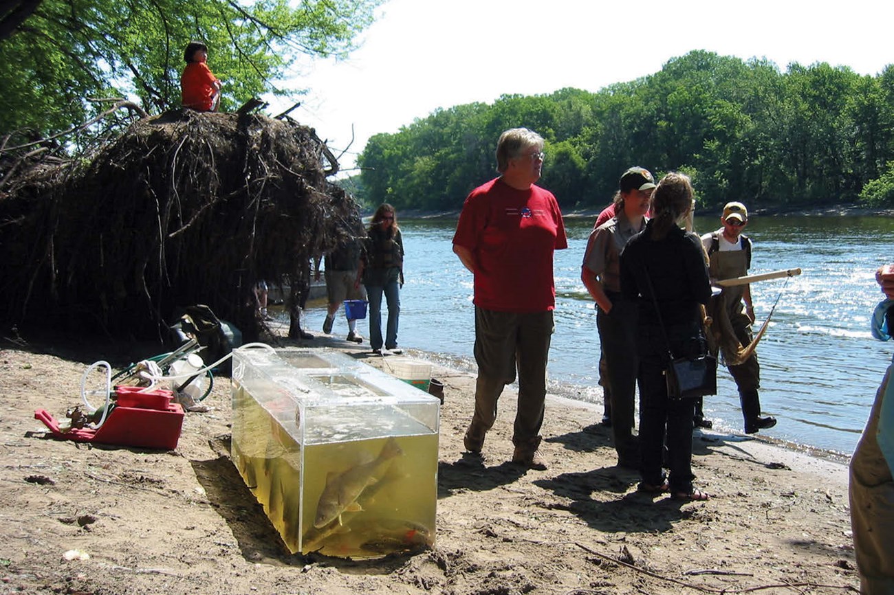 Bioblitz participants along the shore of the Mississippi River.